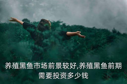 自動(dòng)化黑魚養(yǎng)殖設(shè)備有哪些,黑魚養(yǎng)殖注意事項(xiàng)有哪些?