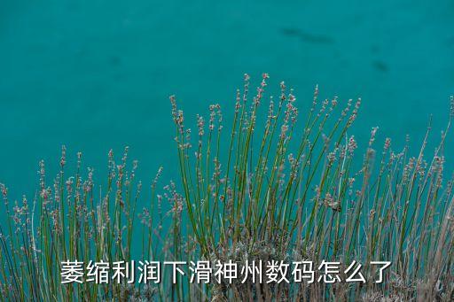 神州數(shù)碼大數(shù)據(jù)平臺(tái),Vista嘉捷和神州數(shù)碼哪個(gè)好?