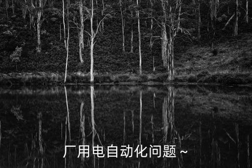 廠用電自動(dòng)化問(wèn)題～
