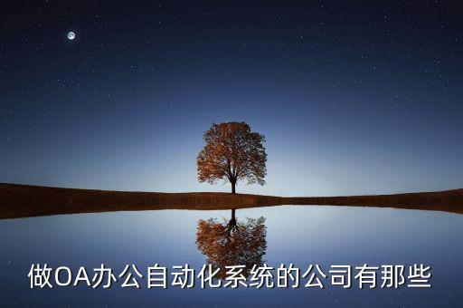 做OA辦公自動(dòng)化系統(tǒng)的公司有那些
