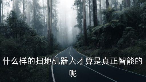 什么樣的掃地機器人才算是真正智能的呢