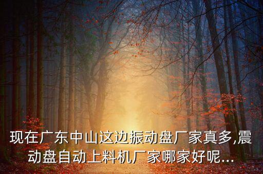 現(xiàn)在廣東中山這邊振動(dòng)盤廠家真多,震動(dòng)盤自動(dòng)上料機(jī)廠家哪家好呢...