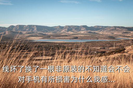 線壞了換了一根非原裝的不知道會不會對手機有所損害為什么我感...