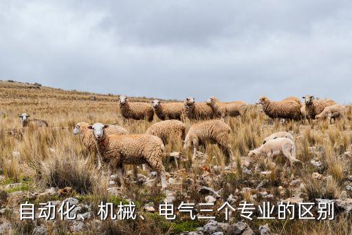 自動化、機械、電氣三個專業(yè)的區(qū)別