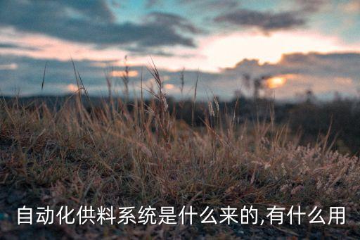 自動(dòng)化供料系統(tǒng)是什么來的,有什么用