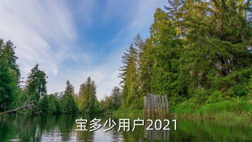 支付寶第三方支付數(shù)據(jù),類似支付寶的第三方支付