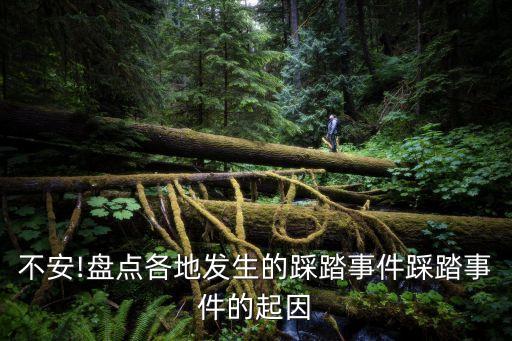踩踏事件數(shù)據(jù),全國踩踏事件數(shù)據(jù)