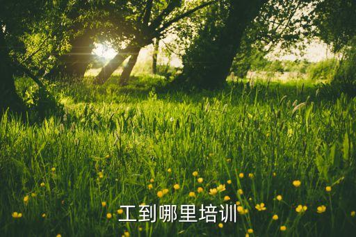 阜陽哪里培訓(xùn)電氣自動化,電氣自動化培訓(xùn)在哪里?