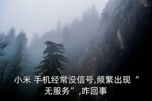 小米手機 沒有移動數(shù)據(jù)