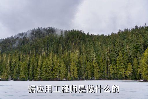 據(jù)應(yīng)用工程師是做什么的