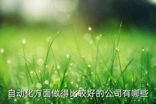 自動(dòng)化方面做得比較好的公司有哪些