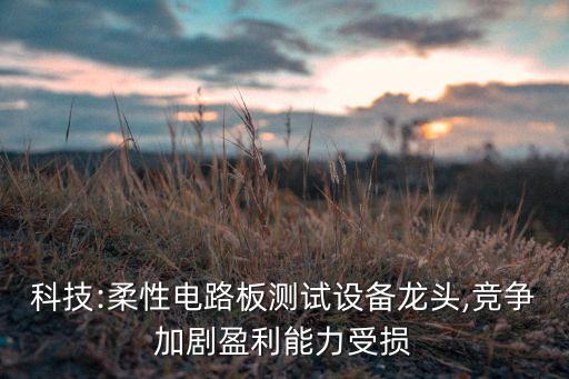 科技:柔性電路板測試設(shè)備龍頭,競爭加劇盈利能力受損