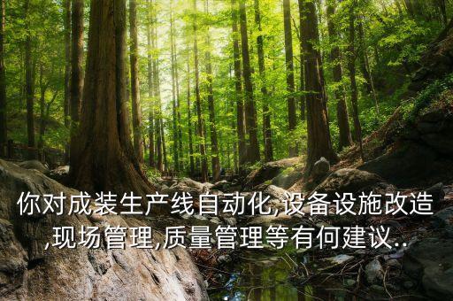 你對成裝生產(chǎn)線自動化,設(shè)備設(shè)施改造,現(xiàn)場管理,質(zhì)量管理等有何建議...
