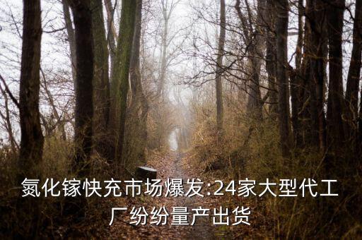 手機(jī)電池生產(chǎn)全自動(dòng)化設(shè)備,蘋果手機(jī)電池是哪里生產(chǎn)的?