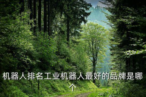 3c工業(yè)機(jī)器人,工業(yè)機(jī)器人在3c產(chǎn)業(yè)中的應(yīng)用