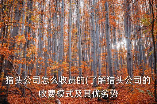 獵頭公司怎么收費的(了解獵頭公司的收費模式及其優(yōu)劣勢