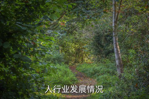 人行業(yè)發(fā)展情況