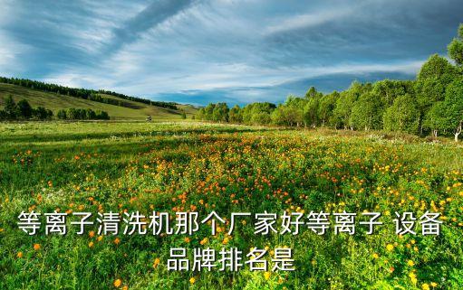 等離子清洗機(jī)那個(gè)廠家好等離子 設(shè)備品牌排名是