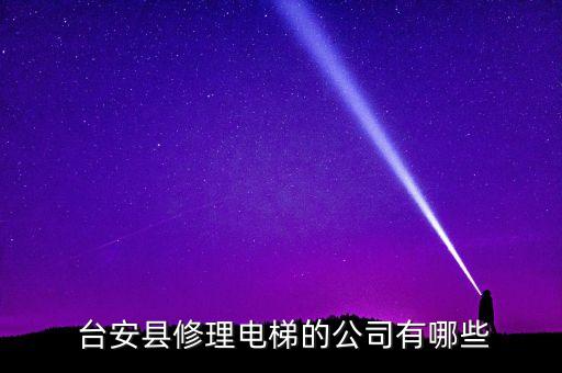 無錫臺(tái)安自動(dòng)化有限公司,臺(tái)安科技無錫有限公司生產(chǎn)什么