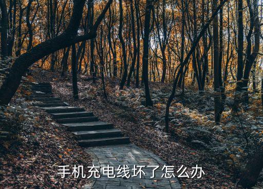 蘋果數(shù)據(jù)線保護(hù)繩