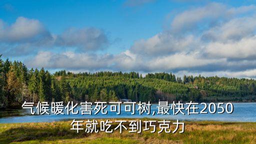 可可豆圖片,哥倫布抵美前已知可可豆用途