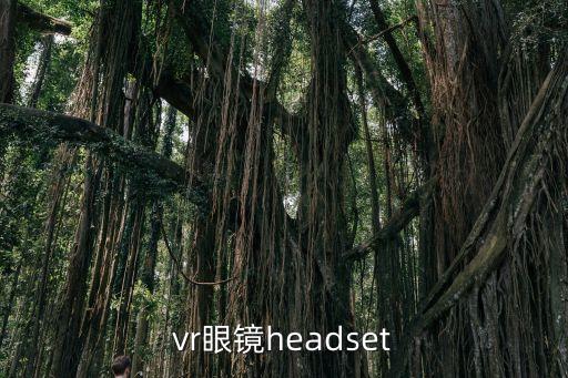 vr眼鏡headset
