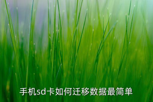 sd卡放另一個(gè)手機(jī) 數(shù)據(jù),手機(jī)sd卡轉(zhuǎn)另一張sd卡