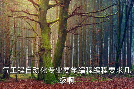 學(xué)自動化專業(yè)的編程,自動化專業(yè)用理科編程嗎?