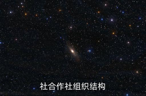 社合作社組織結(jié)構(gòu)