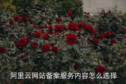  阿里云網(wǎng)站備案服務(wù)內(nèi)容怎么選擇