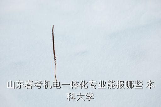 山東春考機電一體化專業(yè)能報哪些 本科大學(xué)