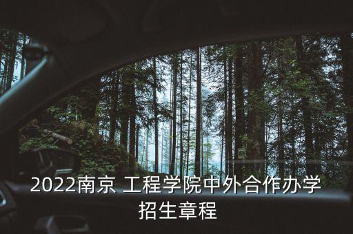 2022南京 工程學(xué)院中外合作辦學(xué) 招生章程