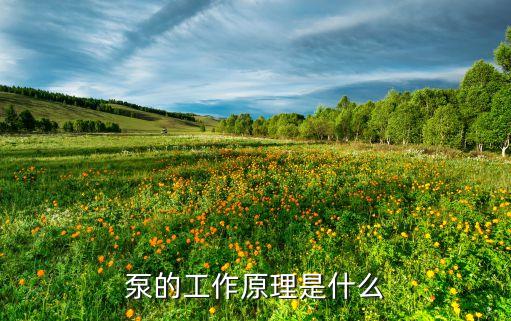 泵的工作原理是什么