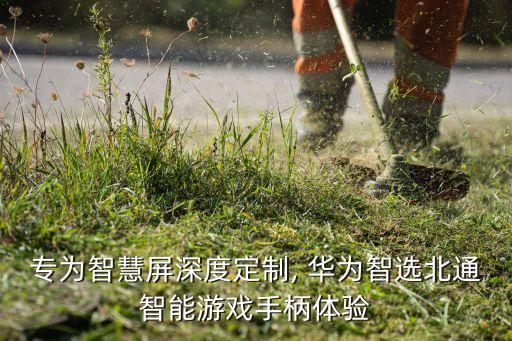 華為自動化包裝設(shè)備,食品自動化稱重包裝設(shè)備