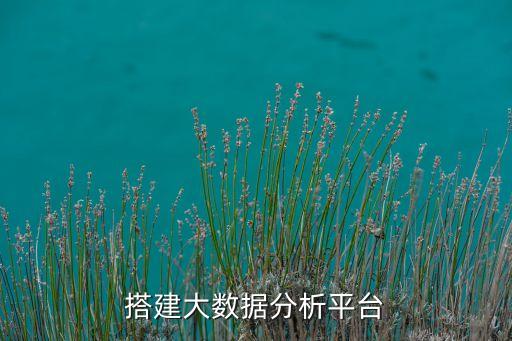 天融信大數(shù)據(jù)分析平臺解決方案,如何搭建大數(shù)據(jù)分析平臺?