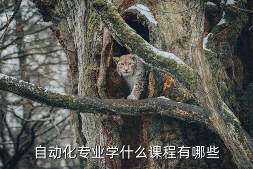 智能自動化專業(yè)學(xué)什么的,自動化專業(yè)是學(xué)什么?