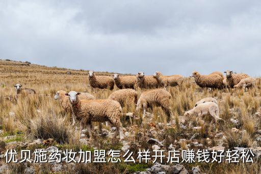 優(yōu)貝施藥妝加盟怎么樣開(kāi)店賺錢(qián)好輕松