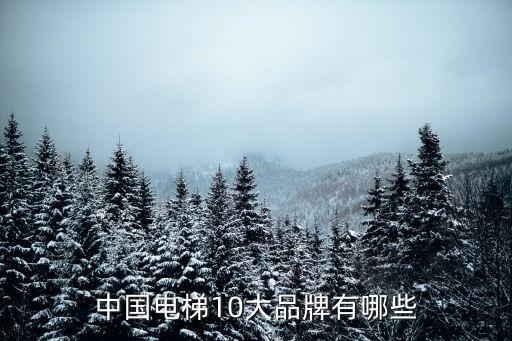 中國電梯10大品牌有哪些