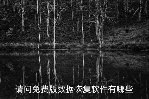 請問免費(fèi)版數(shù)據(jù)恢復(fù)軟件有哪些