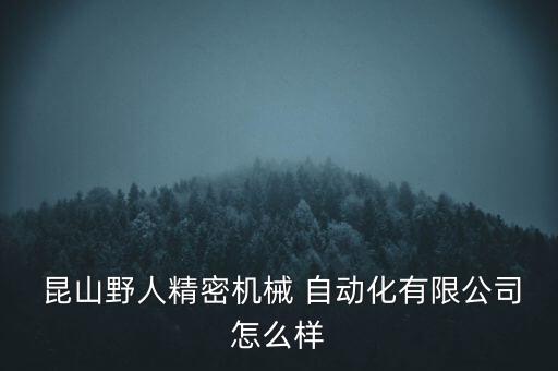 昆山野人精密機械 自動化有限公司怎么樣