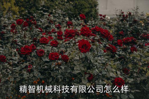 精智機械科技有限公司怎么樣