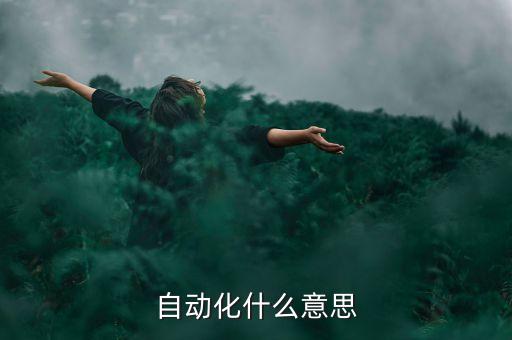 自動化什么意思