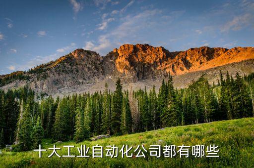 十大工業(yè)自動(dòng)化公司都有哪些