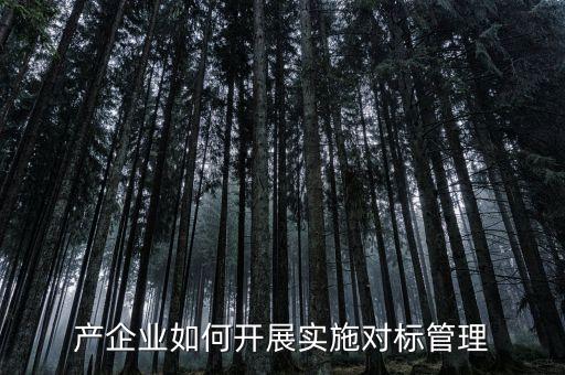 產(chǎn)企業(yè)如何開(kāi)展實(shí)施對(duì)標(biāo)管理