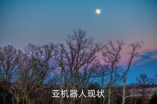 機器人索菲亞的價值,美國機器人索菲亞