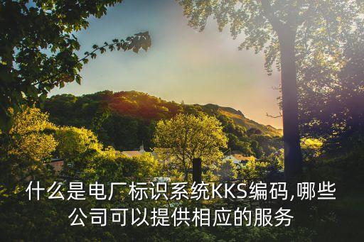 什么是電廠標(biāo)識(shí)系統(tǒng)KKS編碼,哪些公司可以提供相應(yīng)的服務(wù)