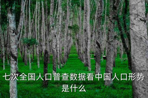 七次全國人口普查數據看中國人口形勢是什么