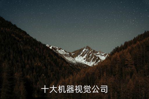 十大機(jī)器視覺公司