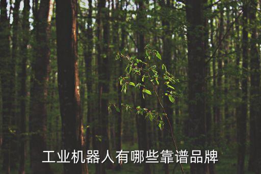 日本有哪些自動化設(shè)備,日本非標自動化設(shè)備品牌