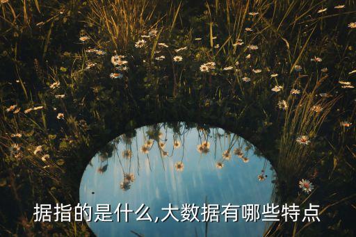 大數(shù)據(jù)是用來描述,用來描述數(shù)據(jù)差異的是